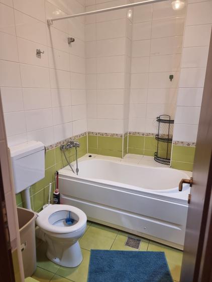 Apartament cu 2 camere în Dosu Bricii