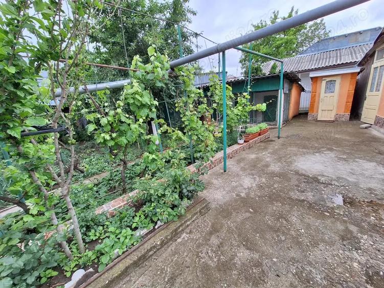 Casa cu 5 camere la 500 metri de LIDL piata centru - 4