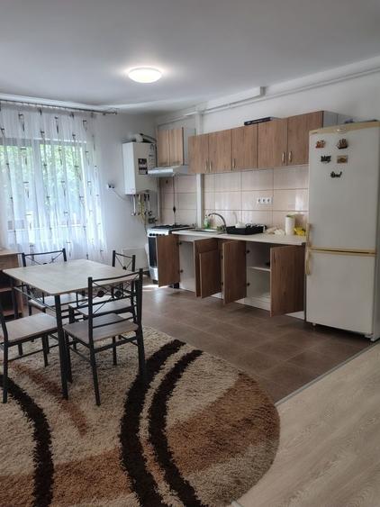 Apartament cu 2 camere decomandat în Dosu Bricii