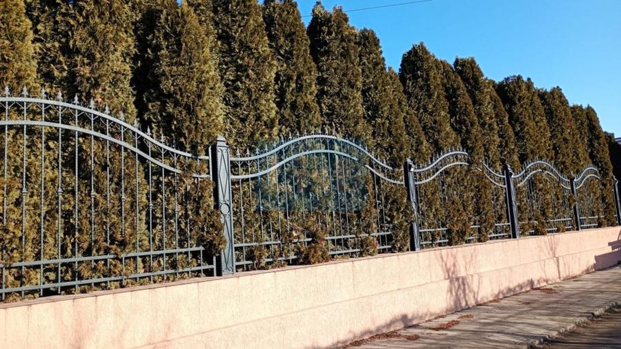 Casă individuală cu 5 camere cu Canalizare în Periferie