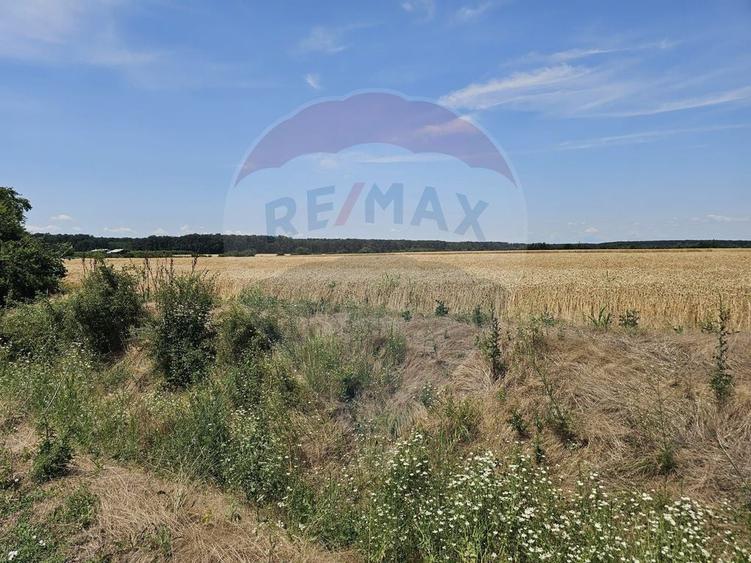 Teren de 750 mp, în Central