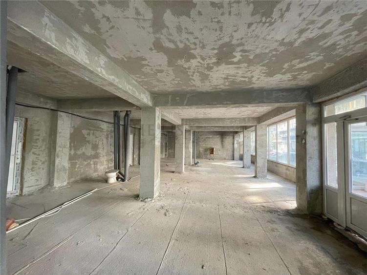 Spatiu Comercial | Oportunitate Investitie | DOBROESTI - 3
