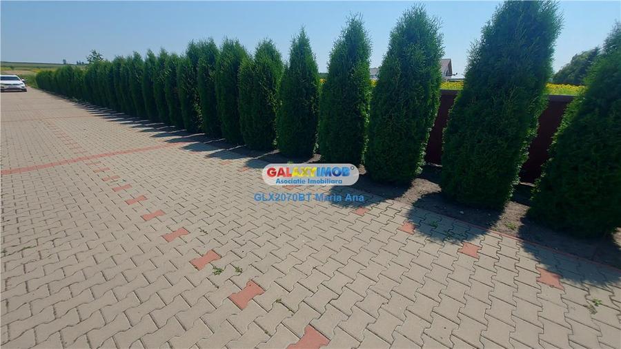 Casă cu 7 camere cu Teren 10000 Mp în Exterior Vest
