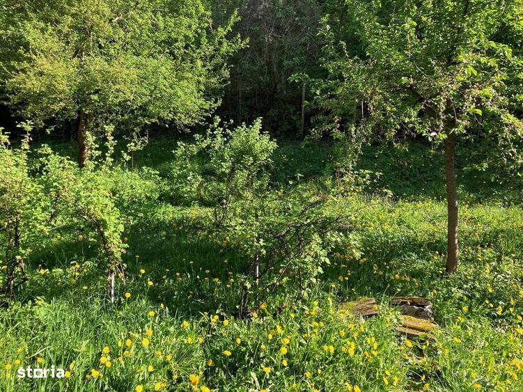 Vand Vila deosebita cu 5 camere in Centrul Brasovului - 9