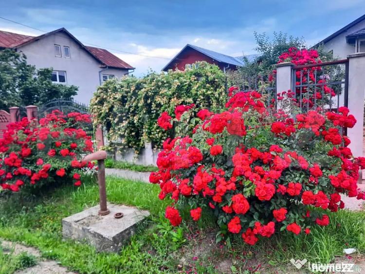 Casă cu 7 camere cu Teren 3000 Mp în Central