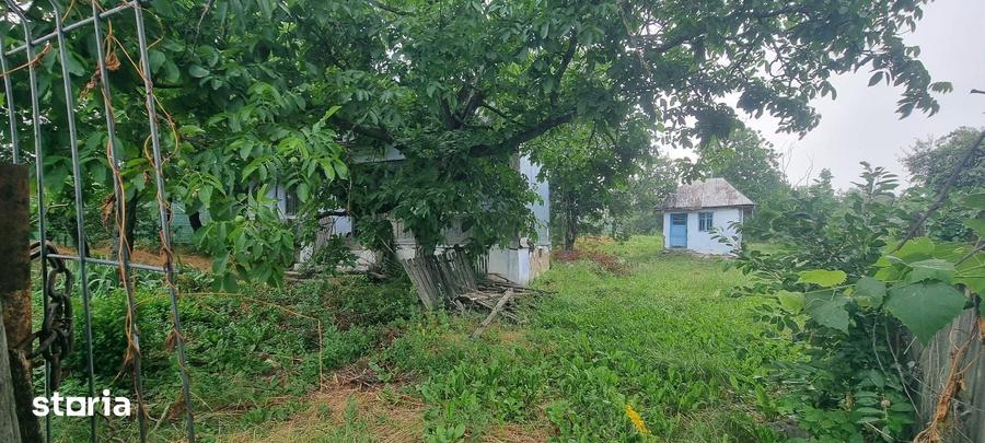 Teren de 3600 mp, în Căteasca