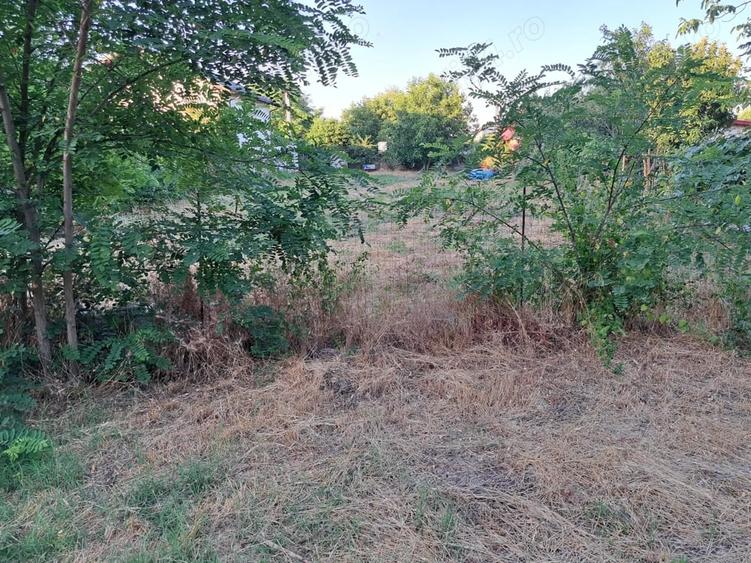 Teren de 752 mp, în Copăceni