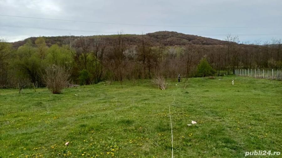 Teren de 2200 mp, în Valea Sălciilor