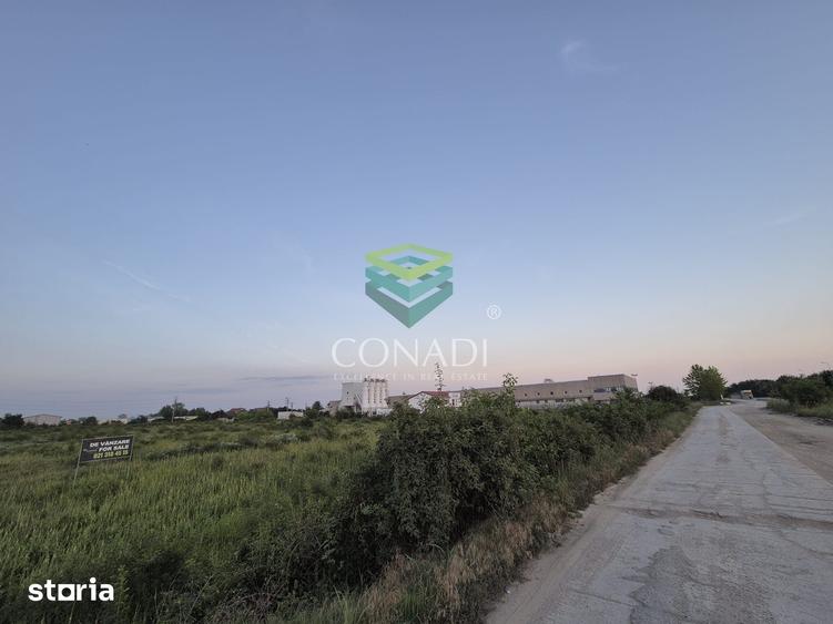 Teren de 23943 mp, în Clinceni