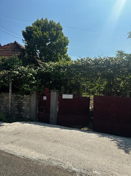 Casă cu 3 camere în Central