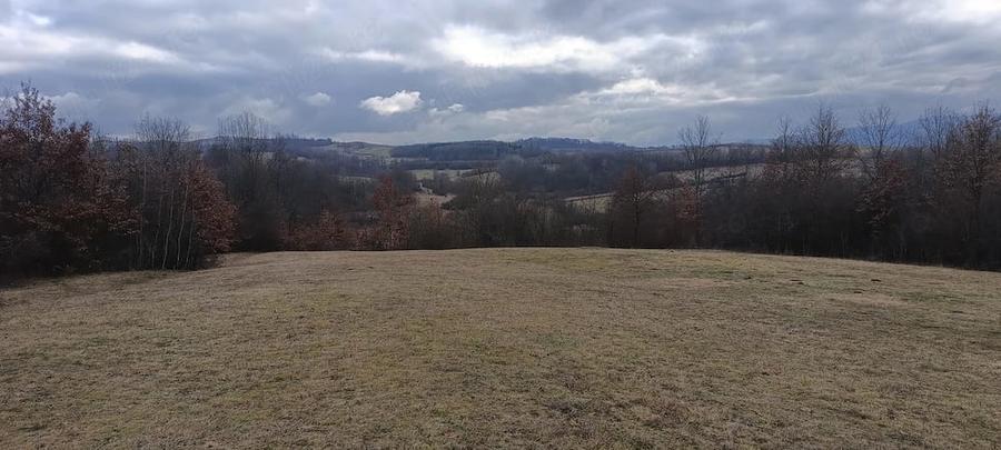 Teren de 8900 mp, în Bodești