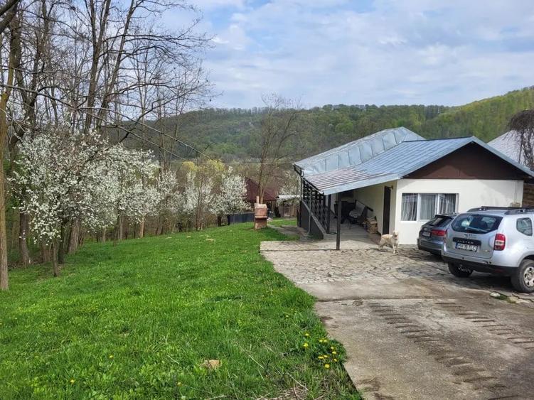 Casă cu 3 camere în Central