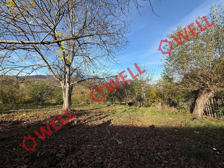Casă individuală cu 2 camere cu Teren 4831 Mp în Sohodol