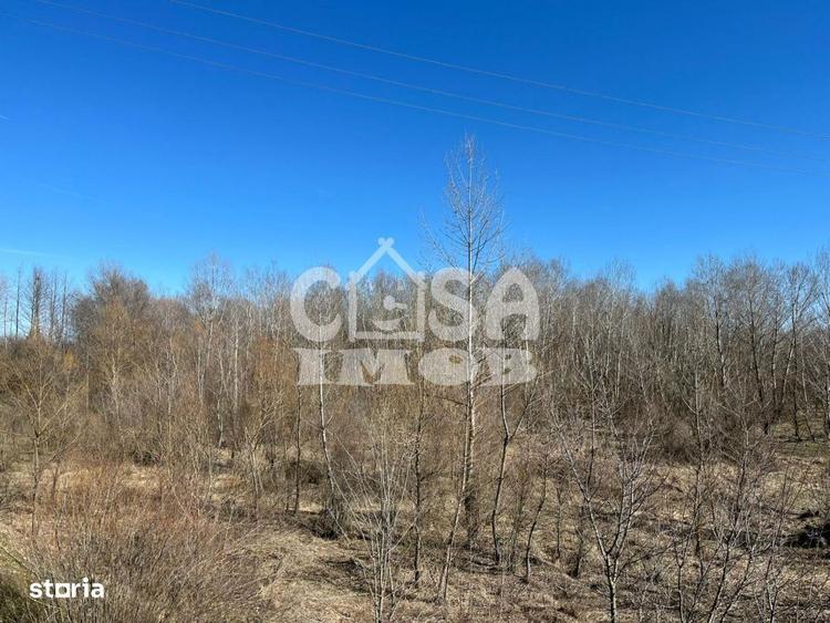 Teren extravilan padure - 6.000 mp, vizavi de Insula Crapilor, Ionest - 5