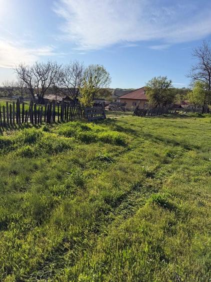 Teren de 2900 mp, în Bumbești-Pițic