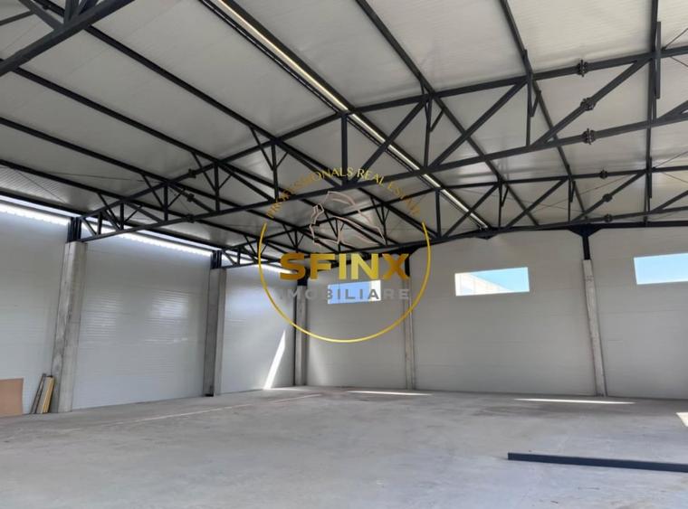 Spațiu industrial, de 593 mp, în Afumați