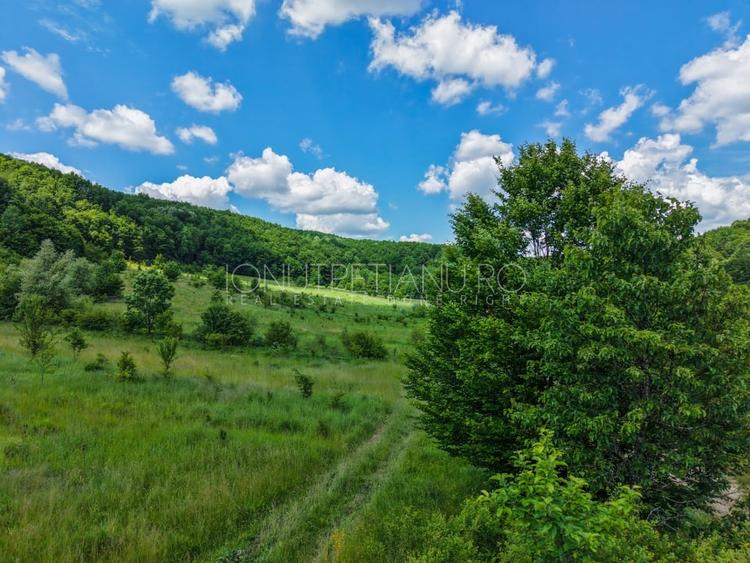 Teren agricol extravilan de 5500 mp, în Valea Mare-Podgoria
