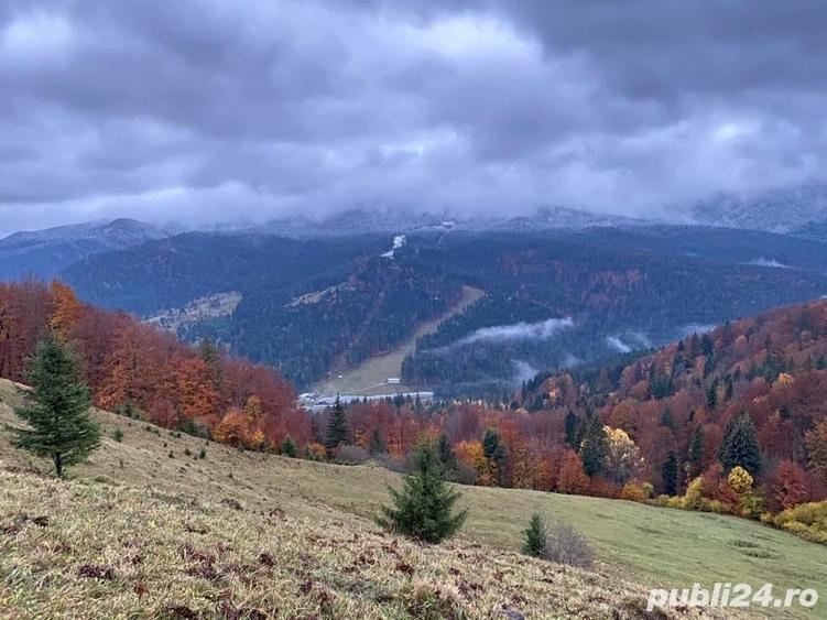 Teren în Central