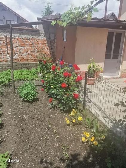 Vand casa cu mansarda Tarlungeni 421 mp - 4