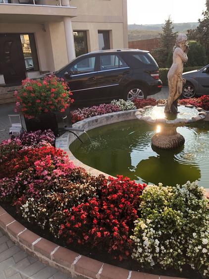 Casă cu 5 camere cu Piscina în Chinteni