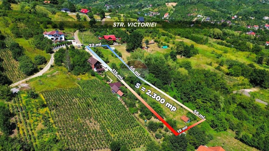 Teren agricol extravilan de 2300 mp, în Valea Borcutului