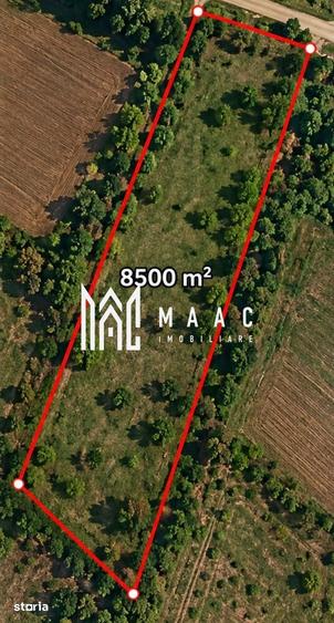 Teren de 8500 mp, în Roșia