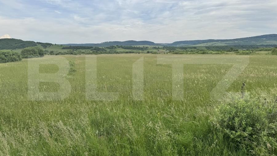 Teren Construcții extravilan de 5500 mp, în Livezile