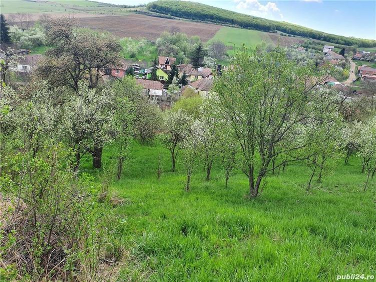 Teren în Central