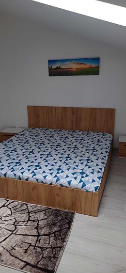 Inchiriez ap 2 camere sec 3 Bucutesti - 3