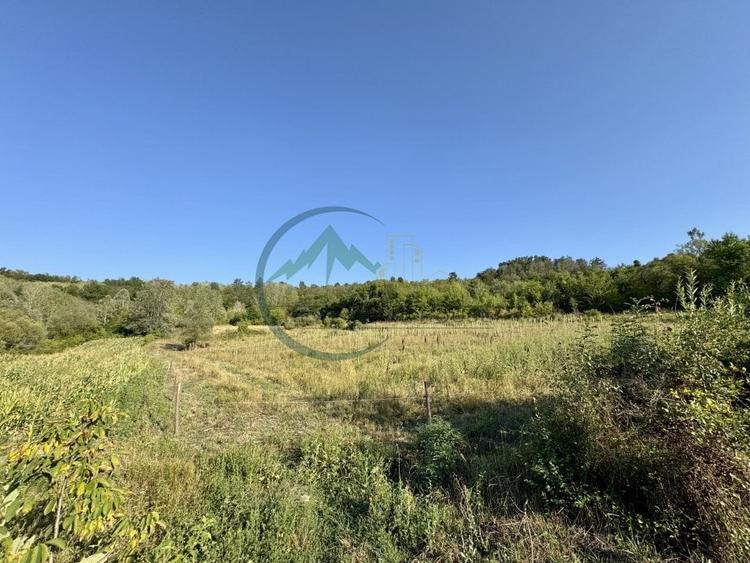 Teren agricol extravilan de 33290 mp, în Lupșa de Sus