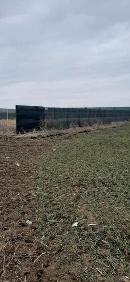 Teren agricol intravilan de 400 mp, în Lazu