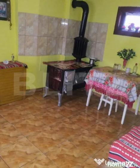 Casă cu 4 camere cu Teren 5450 Mp în Central
