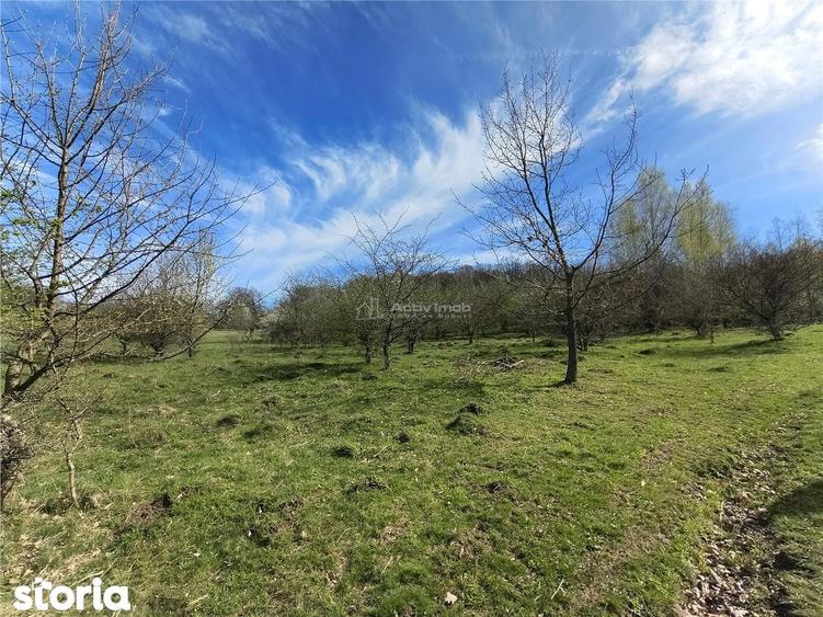 Teren de 4000 mp, în Central
