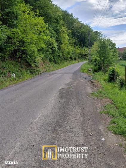 Teren de 4961 mp, în Vărădia de Mureș
