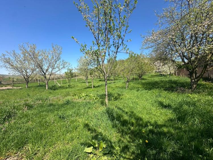 Casă individuală cu 4 camere cu Canalizare în Bucerdea Grânoasă