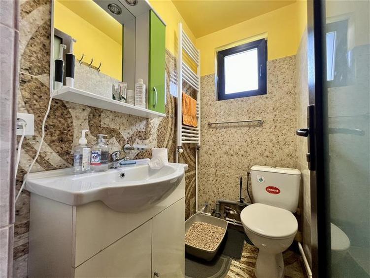 Vila cu 4 camere si 2 bai, 856mp de teren, de vanzare in Dancas - 13