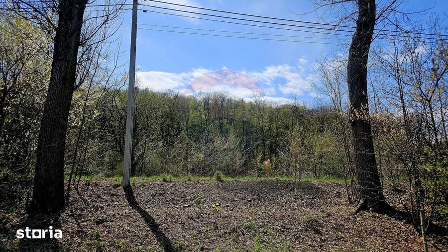 Teren de 10000 mp, în Vânători-Neamț