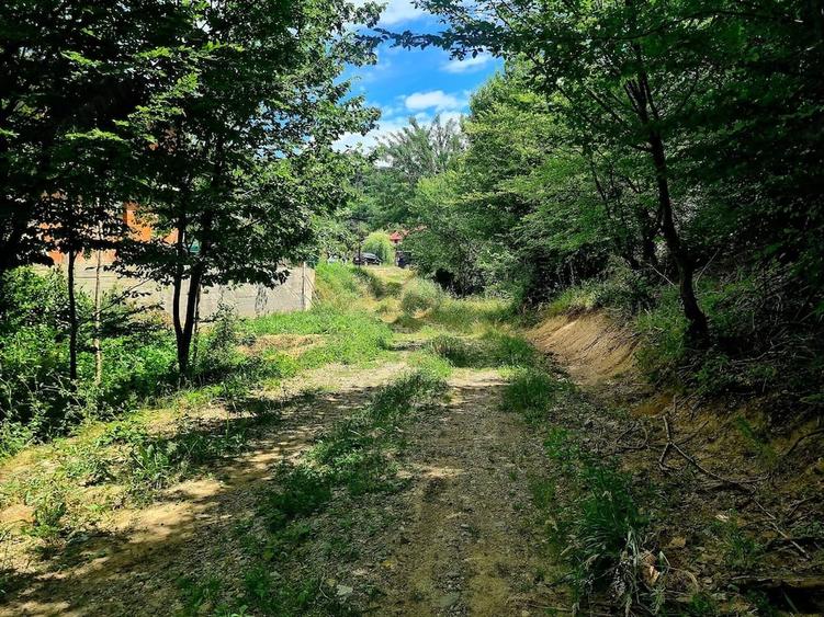 Teren de 9500 mp, în Budești