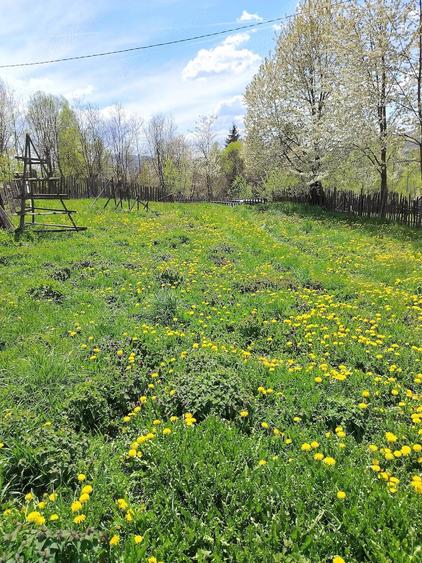 Teren de 959 mp, în Valea Doftanei