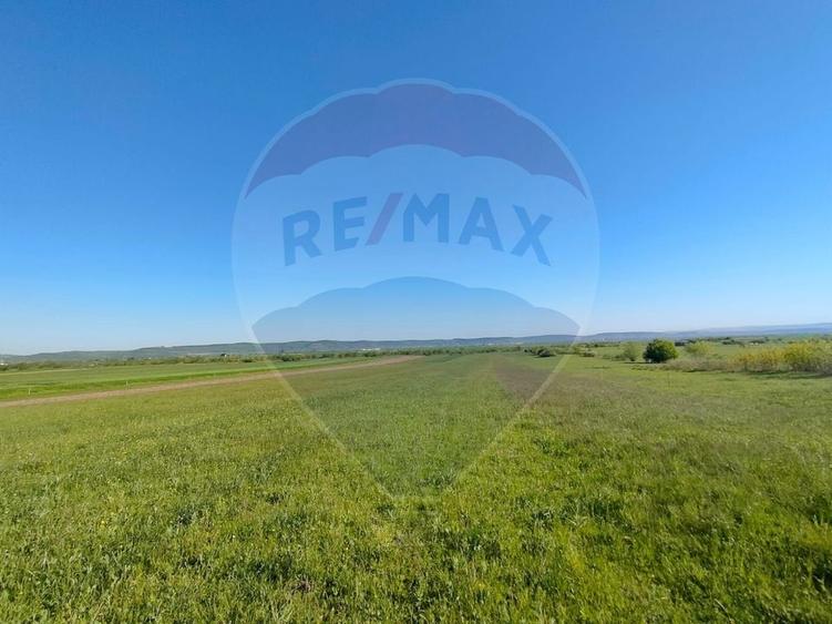 Teren agricol extravilan de 1668 mp, în Gura Râului