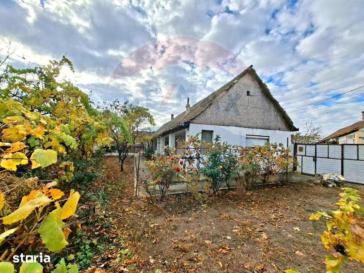 Casă cu 2 camere cu Teren 929 Mp în Vladimirescu