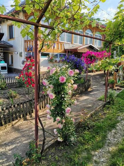 Casă cu 3 camere în Bâlteni
