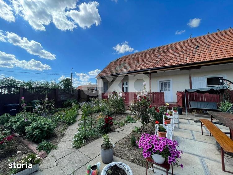 Casă cu 3 camere cu Teren 2993 Mp în Central