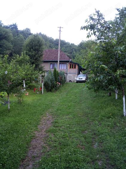 Casă cu 3 camere cu Teren 5400 Mp în Dumbrava