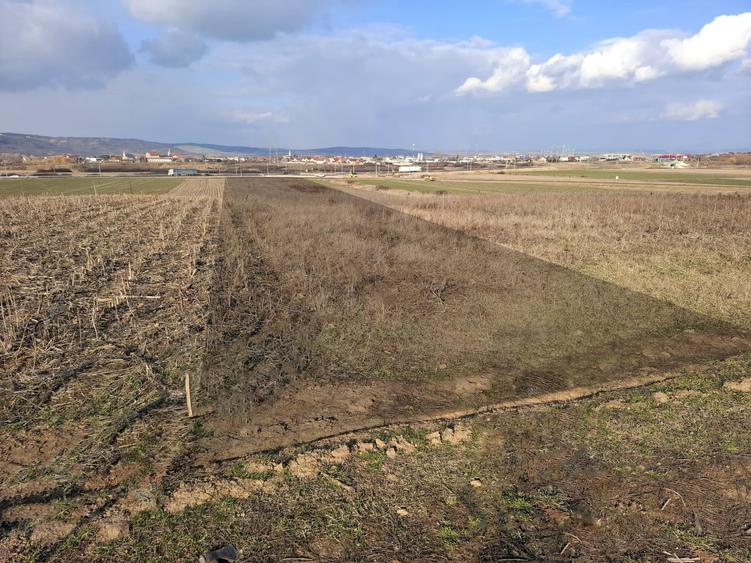 Teren agricol intravilan de 6700 mp, în Oșorhei