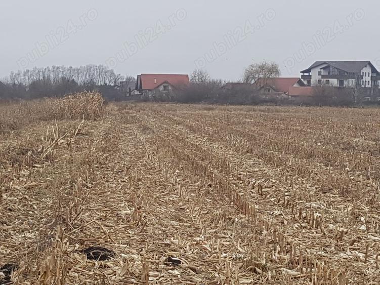 Teren de 2932 mp, în Stupini