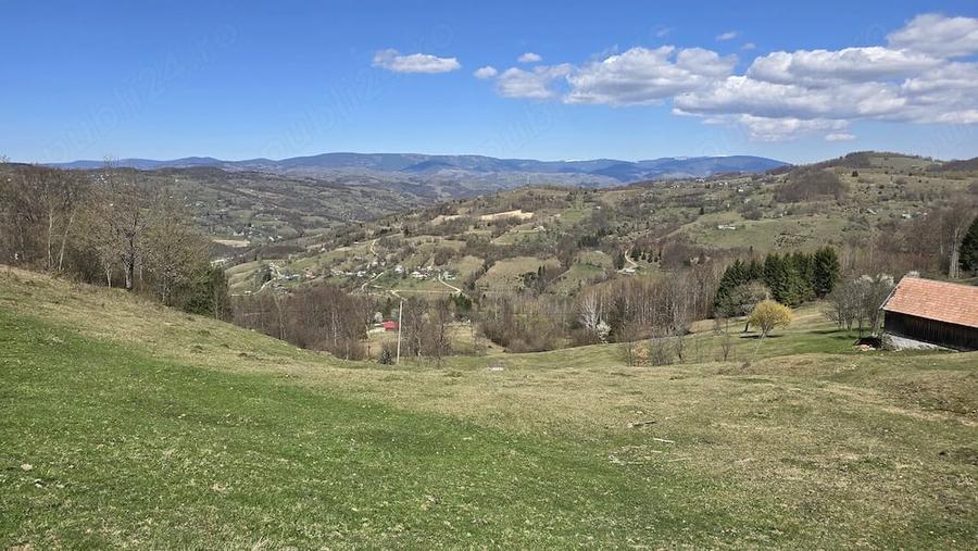 Teren de 23000 mp, în Sohodol