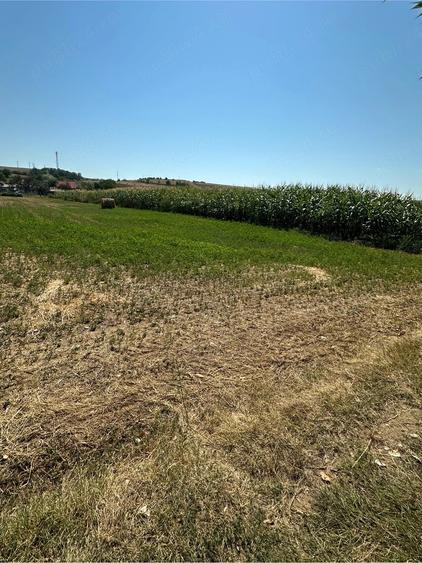 Teren de 1200 mp, în Vințu de Jos
