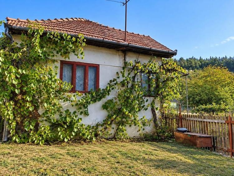Casă cu 2 camere în Căpușu Mare