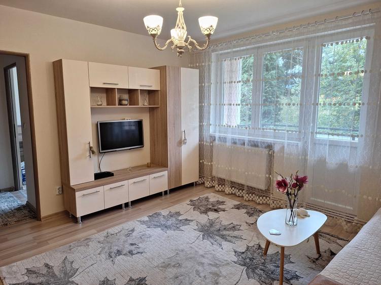 Apartament cu 2 camere semidecomandat în Petros